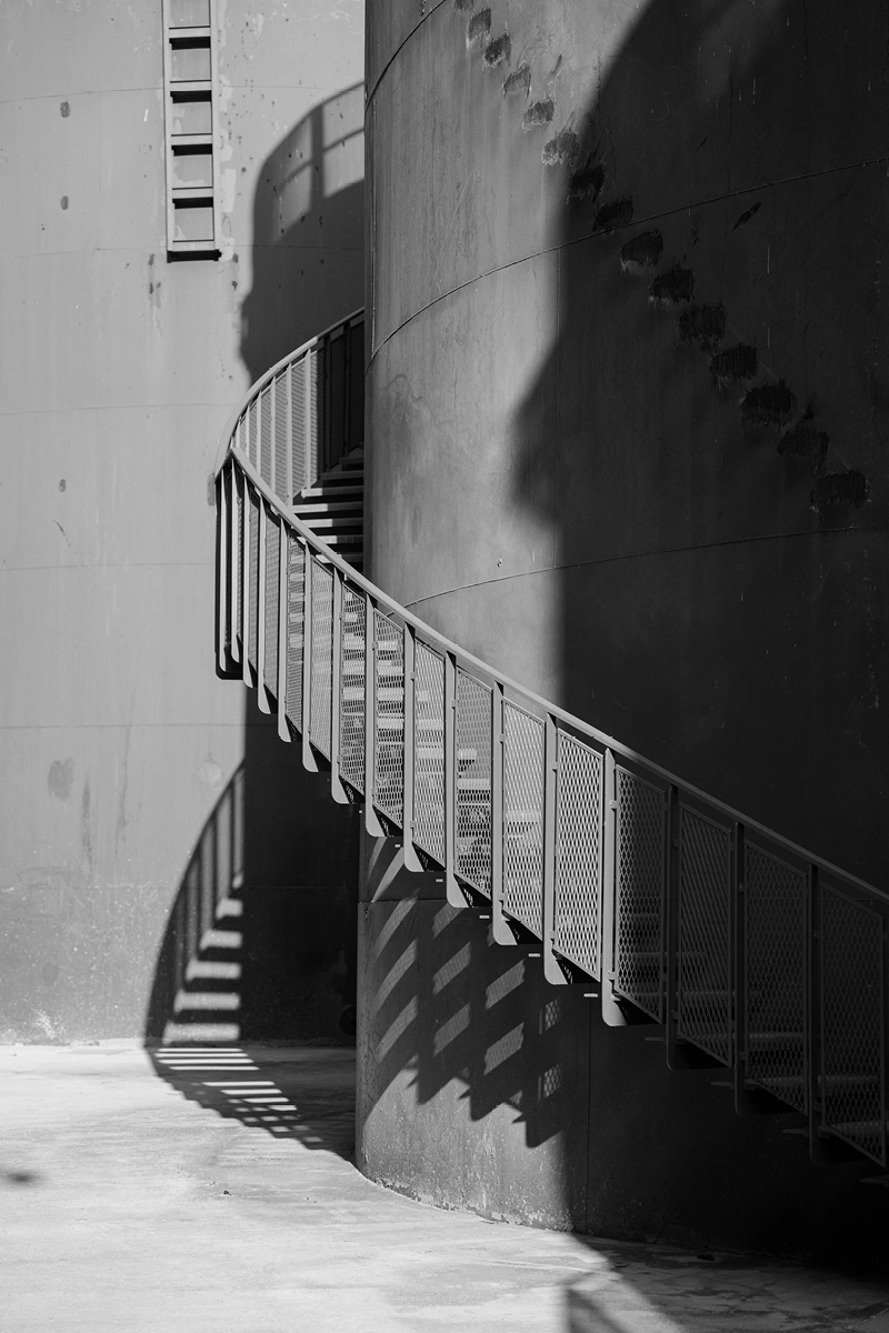 Business Plan & Budget