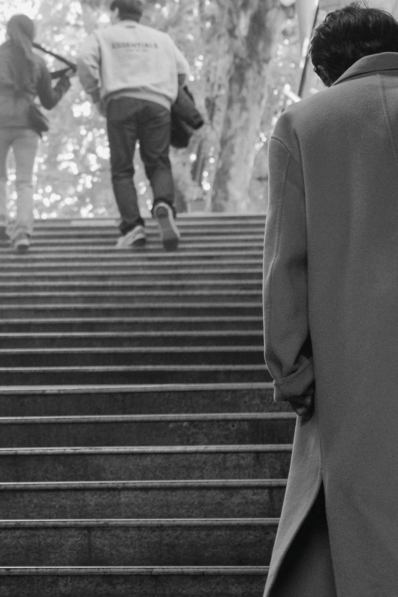 Nuova organizzazione